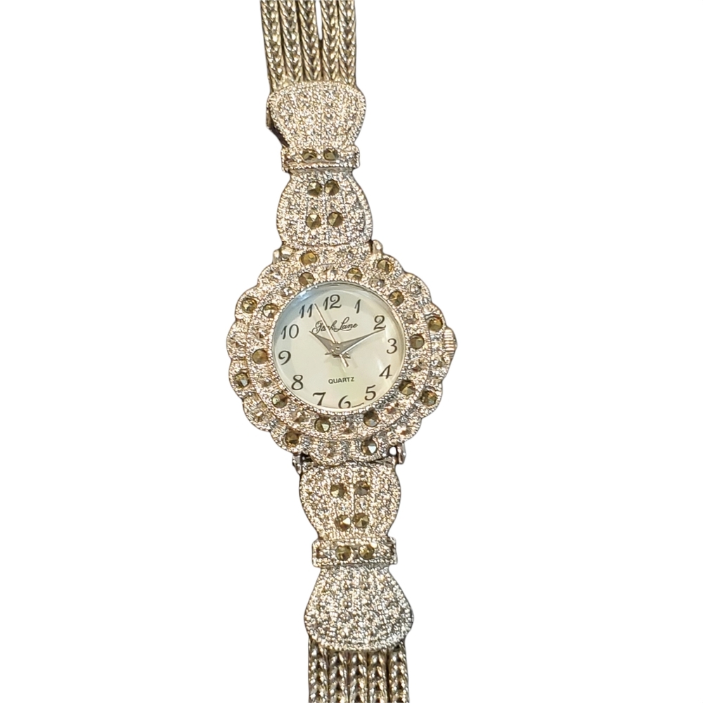 NWT Park Lane Watch